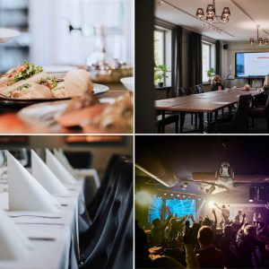 Heldagskonferens & Dinnershow